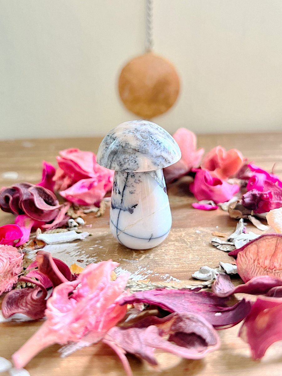 I still have some super gorgeous, high-quality mushroom cuties from Indonesia still available 🍄

📸: Bumblebee Jasper, Dendritic Agate, White Druzy Agate

VIDEOS BELOW!🤍✨ roseandquartz.com comes with a gift and SAME/NEXT DAY SHIPPING🤍✨