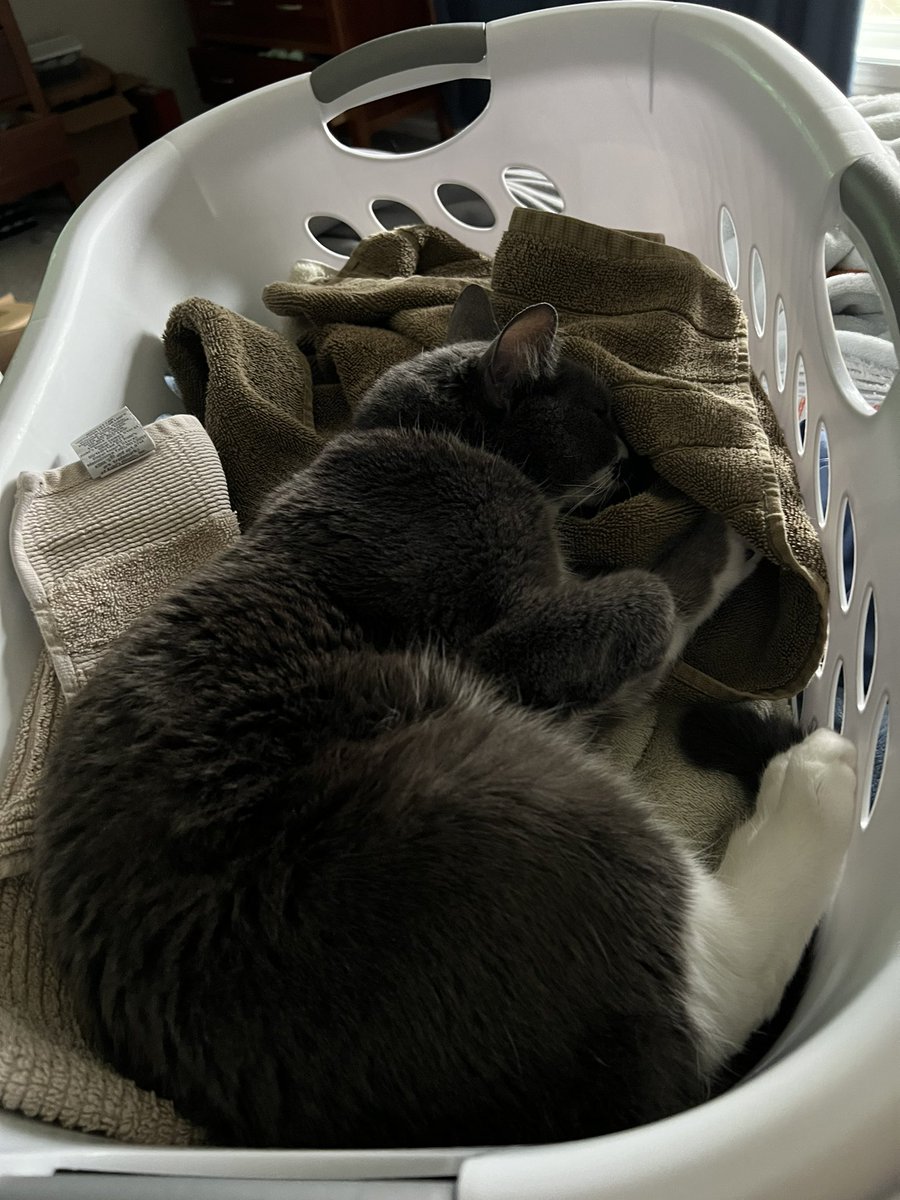 BurtyButt's tweet image. Clean towels maker the best bed