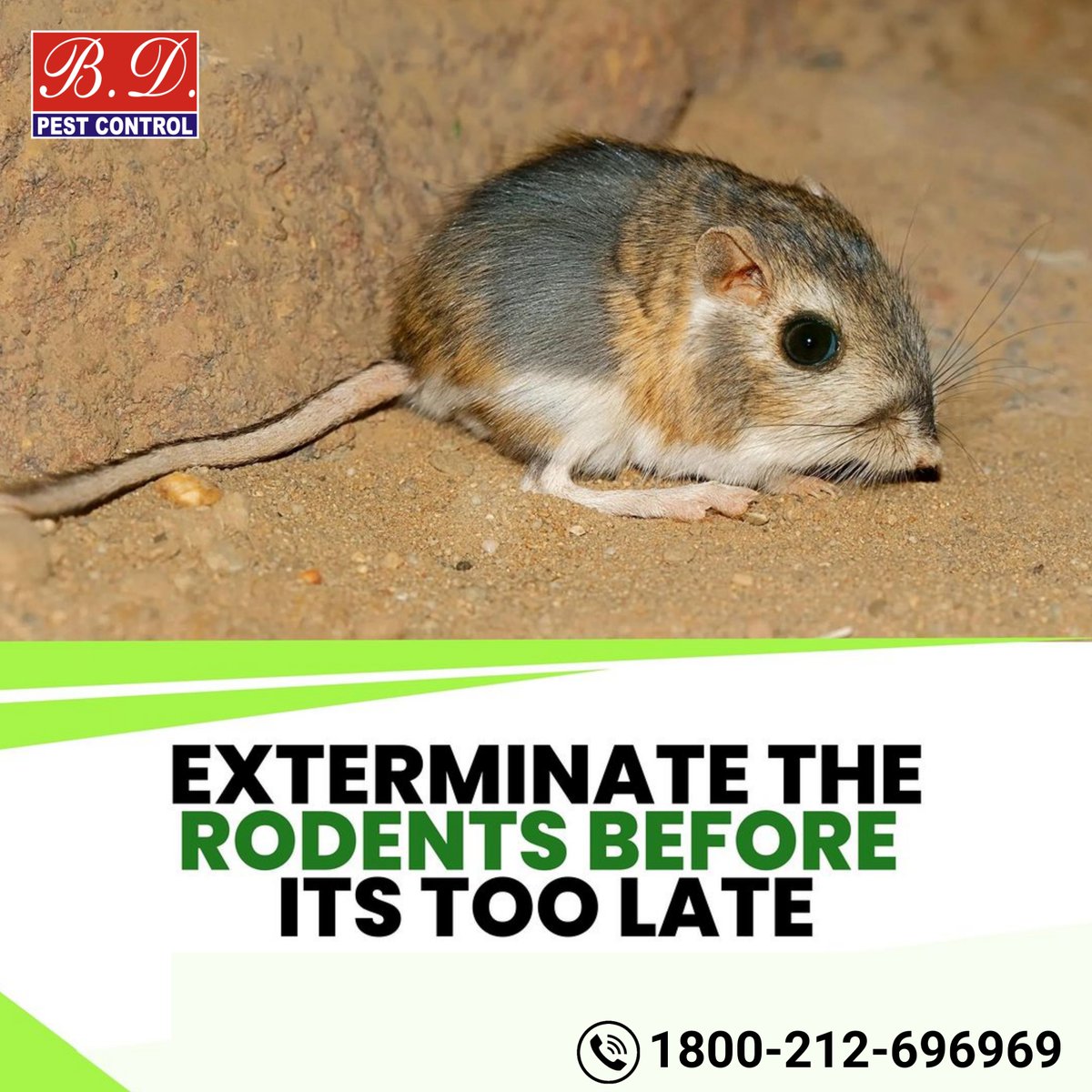 bdpcindia's tweet image. Say goodbye to pests for good with the help of a friendly professional pest control specialist .
#bdpestcontrolindia #bdpcindia #BDPestControl#bdpci #kolkatapestcontrolservice