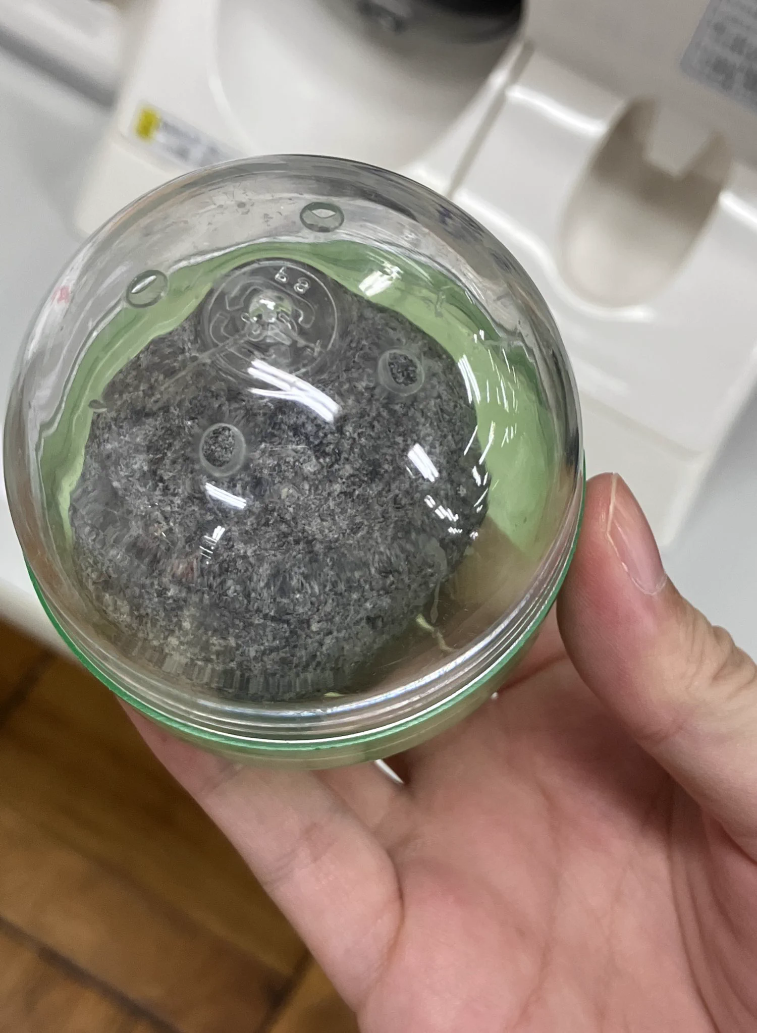 大人向けガチャガチャ登場。景品はただの石！？