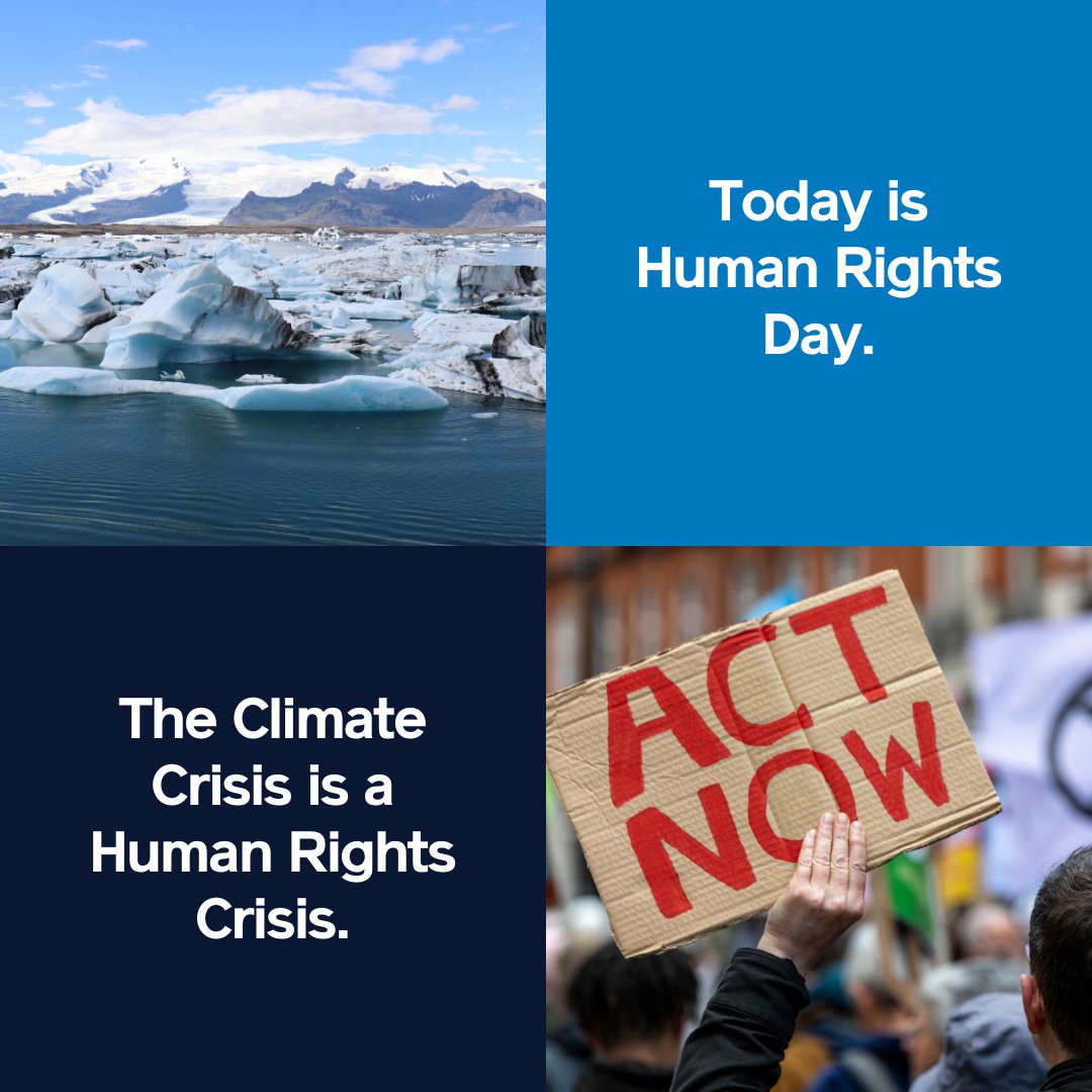 International Justice Mission tweet media