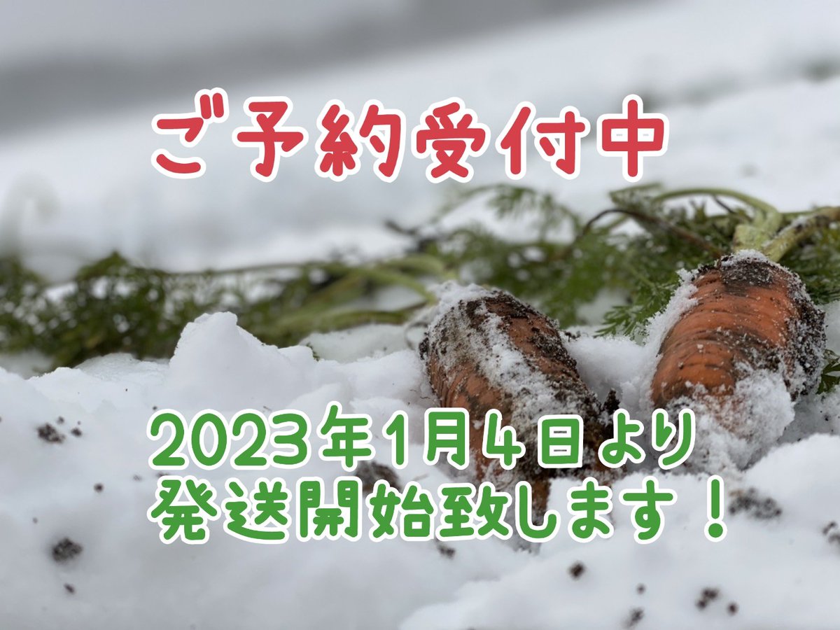 CreaCrops's tweet photo. 今年も雪下人参のシーズンが⁡
⁡やってまいりました⸜(*˙꒳˙*  )⸝⁡
⁡弊社ホームページほか⁡
⁡食べチョクさん、ポケットマルシェさんにて⁡
⁡ご予約受付中です❁⃘*.ﾟ⁡
⁡今シーズンだけのご馳走にんじん⁡
⁡是非ご賞味くださいね(*ˊᵕˋ*)੭ ੈ❤︎⁡ https://t.co/IUV8mmcGcW