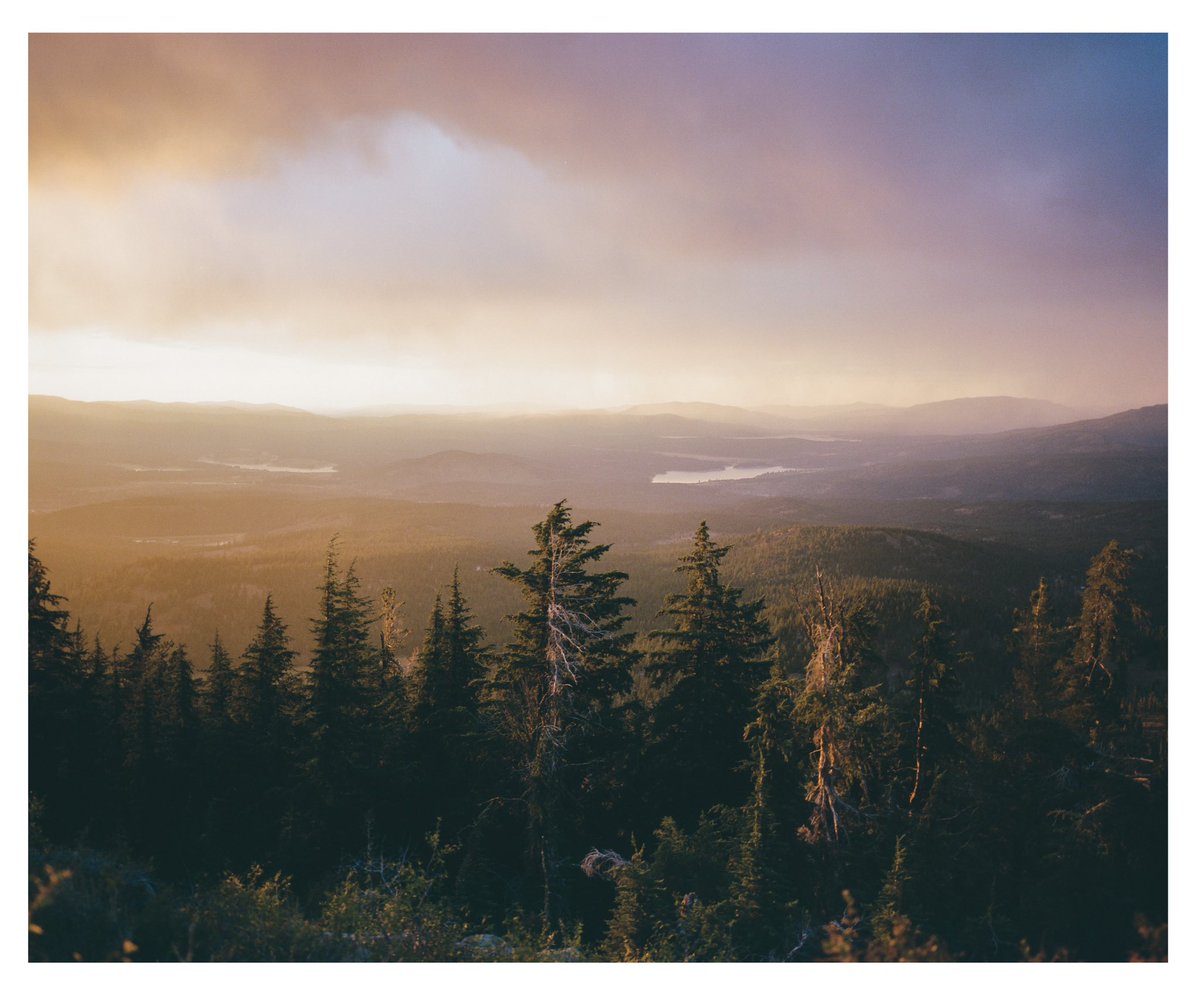 Chef_Carnahan's tweet photo. sunset above the Tahoe forest #mamiya7 https://t.co/Cq7g46ydeR