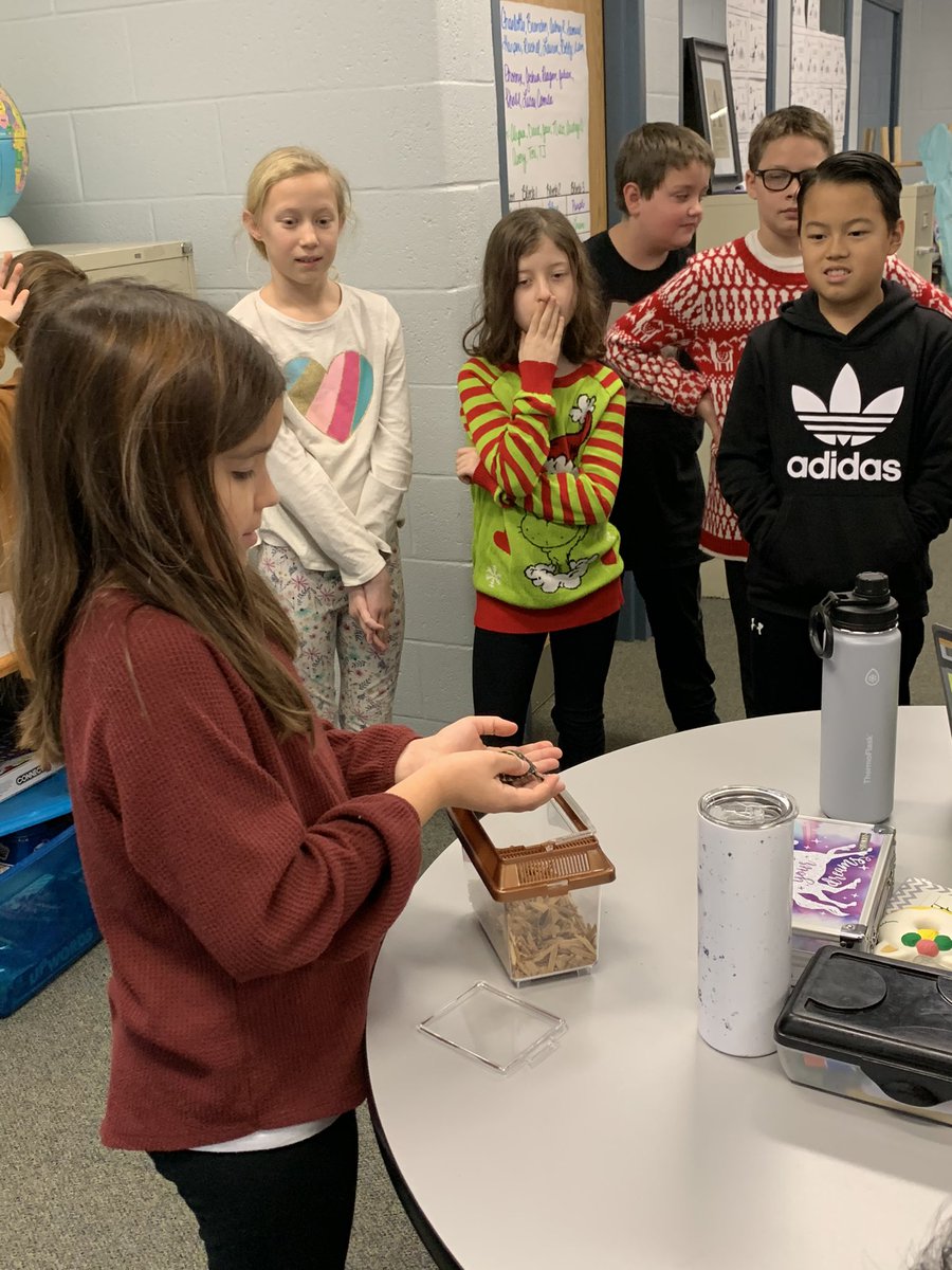 geier5tmes's tweet photo. This sweet @TMESEagles brought Sparky to meet us today. She was very knowledgeable and we learned a lot about turtles! #babyturtle #socute @Crawford_Class https://t.co/2aOEXhzmQJ