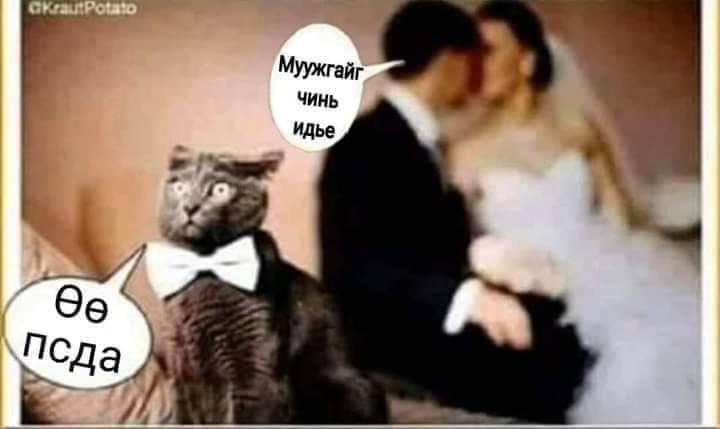 Орондоо Сэрэлтээд гэвтэжийнэээ яадын яадын🤣🤣🤣😛😛😛