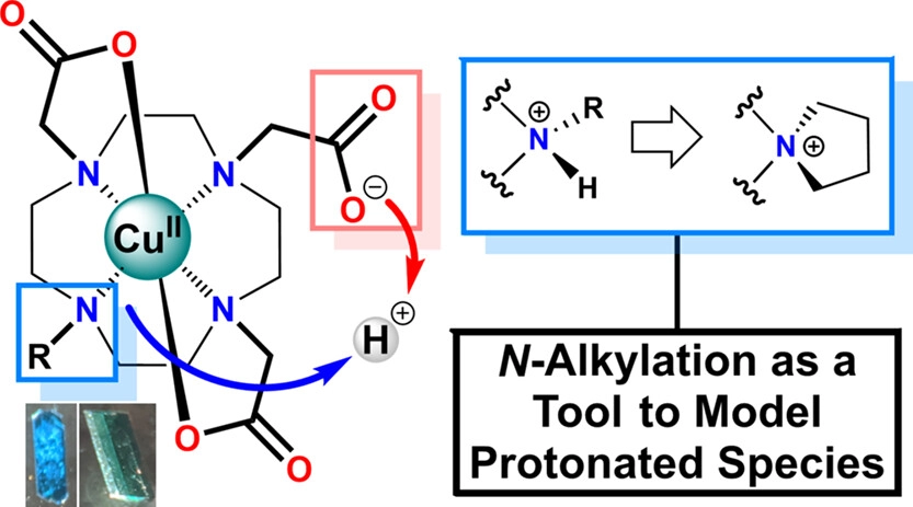 bhkenlo's tweet photo. N,N-Alkylation Clarifies the Role of N- and O-Protonated Intermediates in Cyclen-Based 64Cu Radiopharmaceuticals https://t.co/tPoRtAwxpR @BorosLab @JRRatBrown and co-workers @InorgChem #copper #64Cu #cyclen #spirocycle #N_protonation #DFT #radiolabeling #invivo https://t.co/4t8hEMkjp3