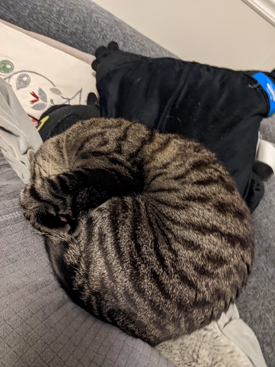 youtu.be/1hn4t7mJocY