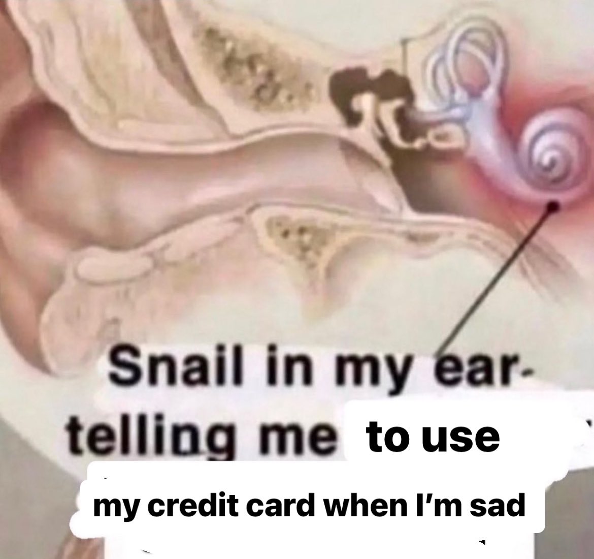 EwdatsGROSS's tweet image. 