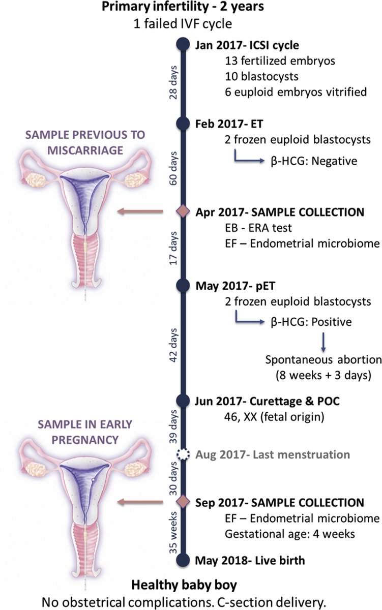 The first glimpse of the endometrial microbiota in early pregnancy ow.ly/7v8J50M0129