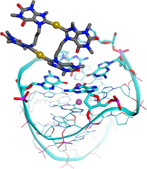 bhkenlo's tweet photo. “Dynamical Docking” of Cyclic Dinuclear Au(I) Bis-N-heterocyclic Complexes Facilitates Their Binding to G-Quadruplexes https://t.co/js5fwMqr72 @MedBioinorgChem @r_bonsignore & co-workers @TU_Muenchen @unipa_it @InorgChem #gold #NHC #G4s #DNA #stabilizers #FRET #CD #melting #MetaD https://t.co/2YT2AQlGcd
