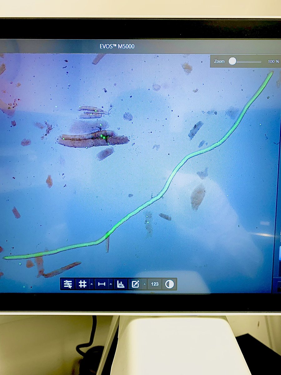 Mike Hicks tweet media