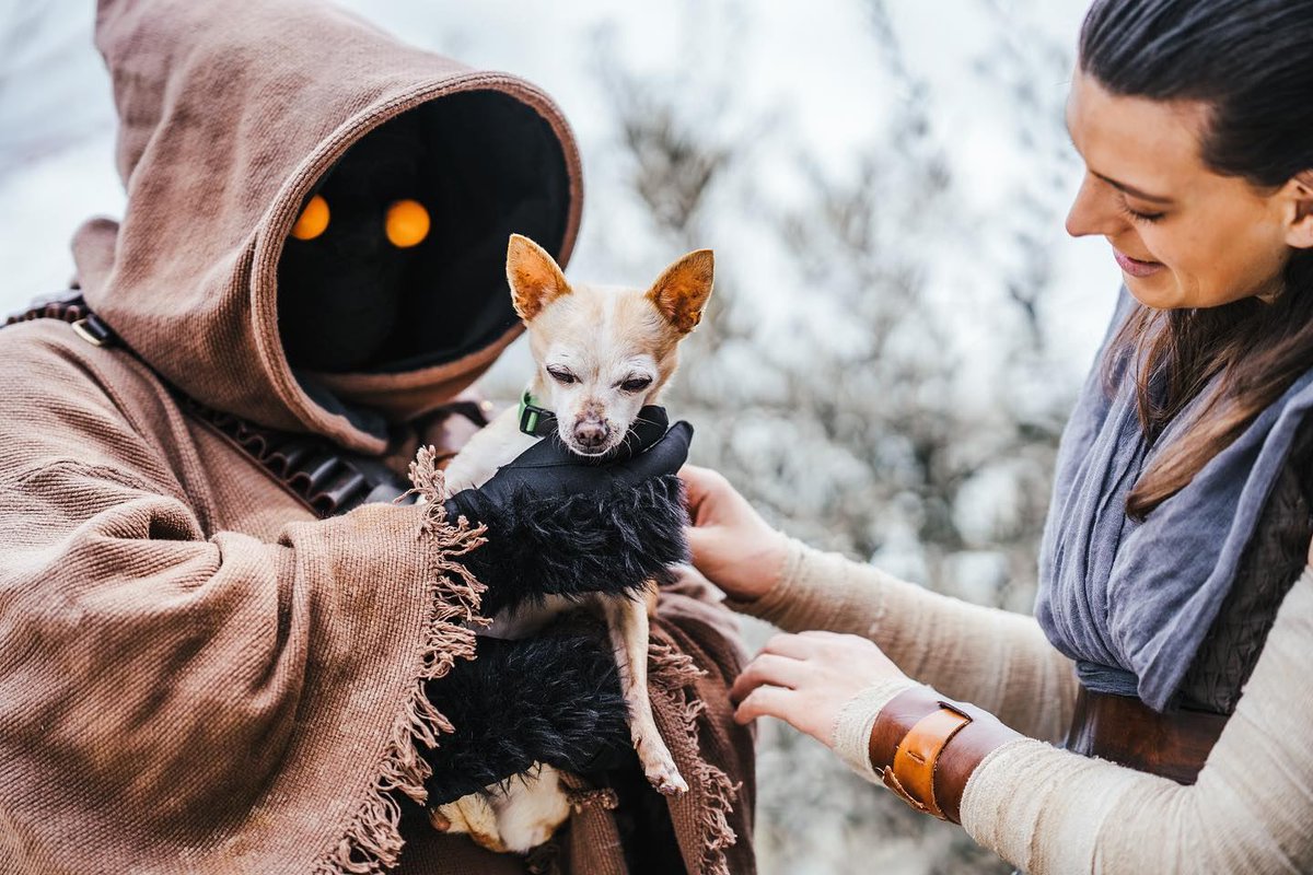 rebellegion's tweet photo. #RebelLegion #EndorBase with the #AuburnAnimalShelter. 
#jawa #reyskywalker #shelterpets https://t.co/M62uEG2XL0