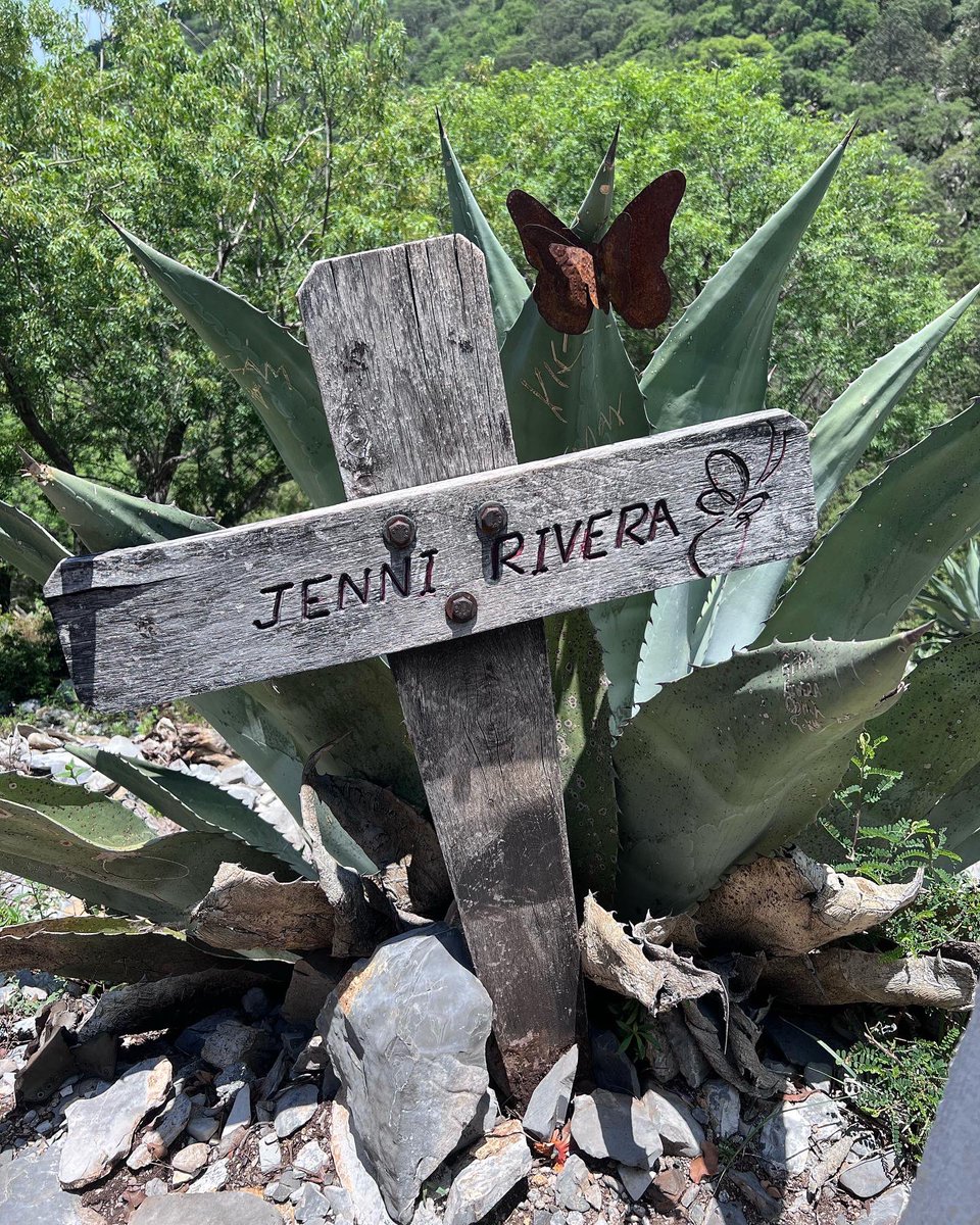 RawbertKills's tweet photo. Ahora estás
Entre luces hermosas
Mas cuando estabas sola
Sé que Dios te cuidó
Mariposa de Barrio
La que vive cantando
La oruga ha transformado
Su dolor en color 🦋🤍
#JenniRivera #XAños #J1529 #MariposaDeBarrio #JenniVive @jennirivera https://t.co/bSn4dEsC7G