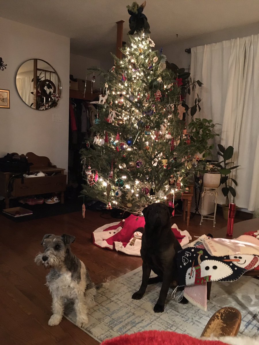 Dleinweber3's tweet photo. Merry Christmas! https://t.co/DW1BQtuNxT