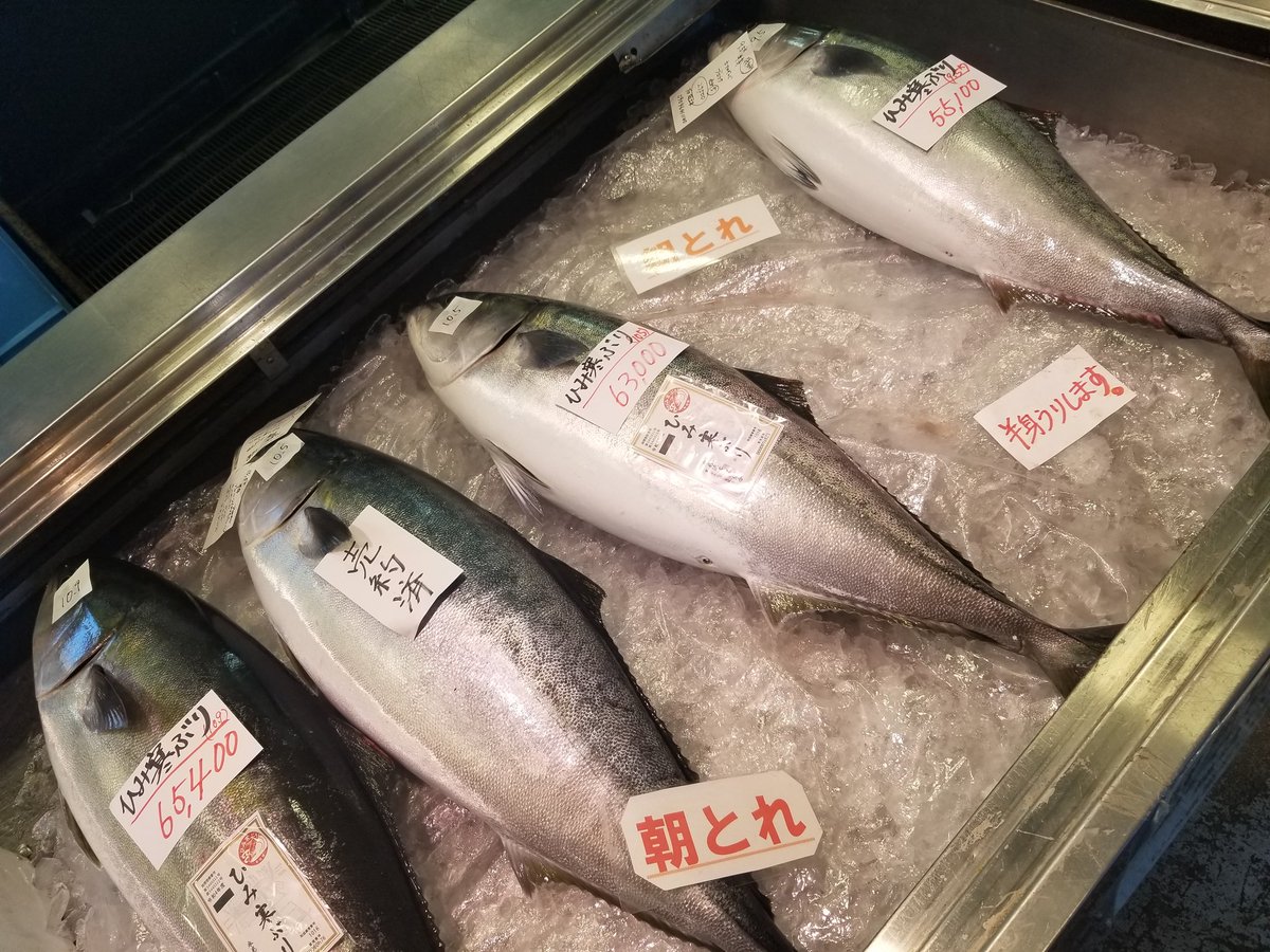 coolnail's tweet photo. お昼から。。���飲んじゃいました笑
道の駅氷見は侮れない(*´ー`*)
#道の駅氷見
#富山戦
#宇都宮ブレックス
#GoHiger
#氷見前寿し https://t.co/jQFAfcXHXm