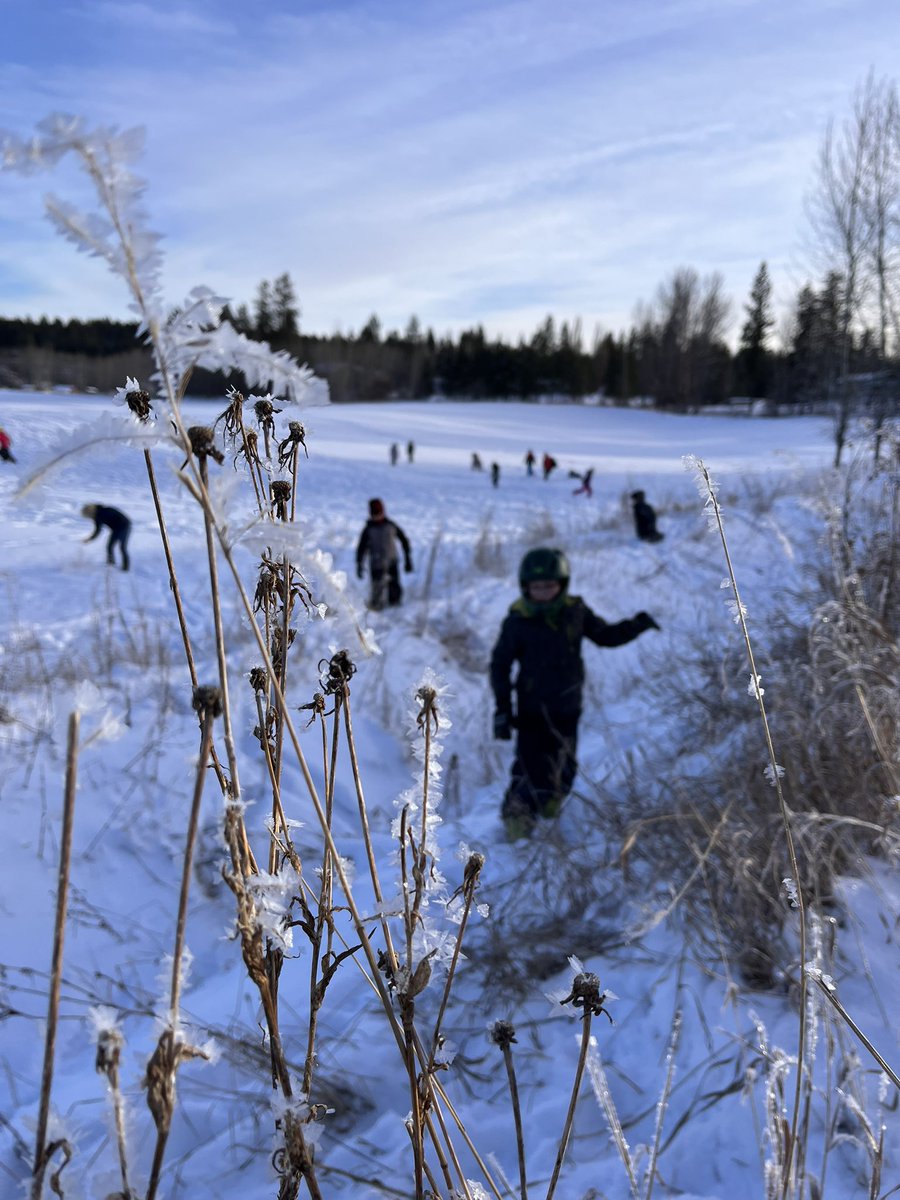 kldavis13's tweet photo. Students at 150 Mile Elem @SD27_CC got a special treat when snowshoeing today.Mother nature had been hard at work creating the most amazing crystals all over the field. The hoarfrost was truly magical and inspired so much wonder and conversation. #takemeoutside https://t.co/75IfPiRCsf