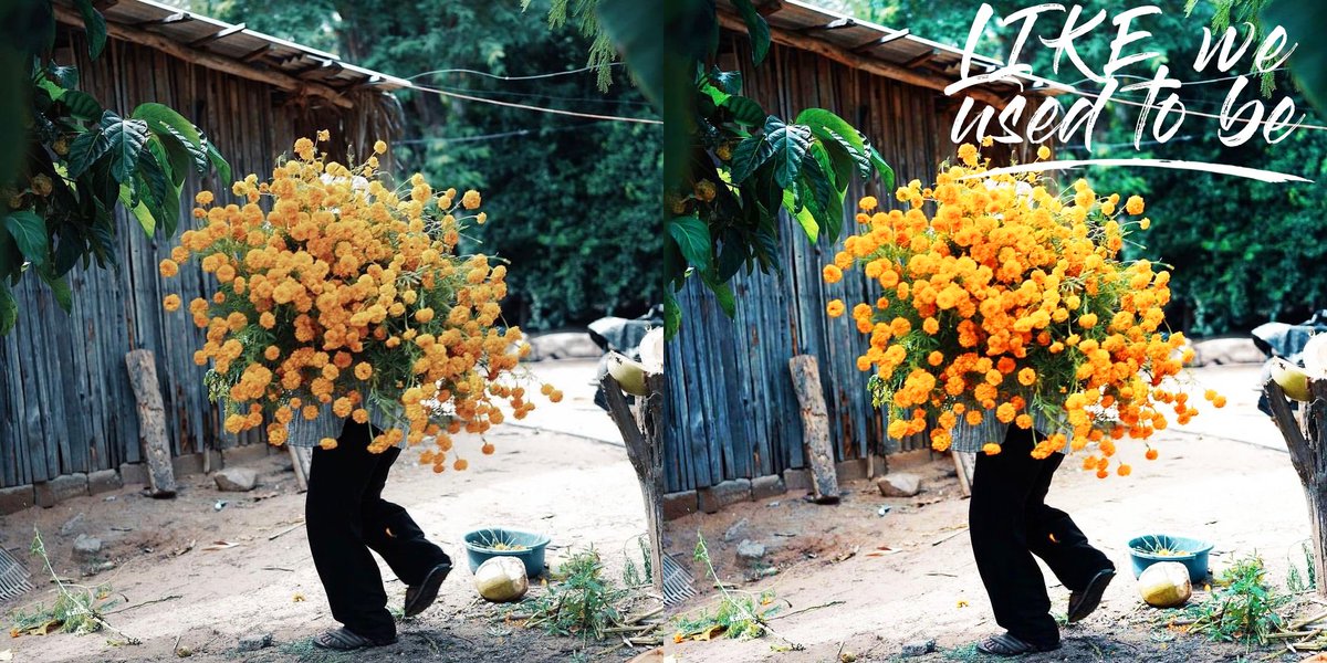 Salut tout le monde, cette nuit je me suis amusé à reprendre des images de <a href="/ImagesAlbum/">️️ ️</a> et essayer d'en faire quelque chose qui pourrais ressembler a de vraies cover d'album

J'aime bien le résultat alors je partage