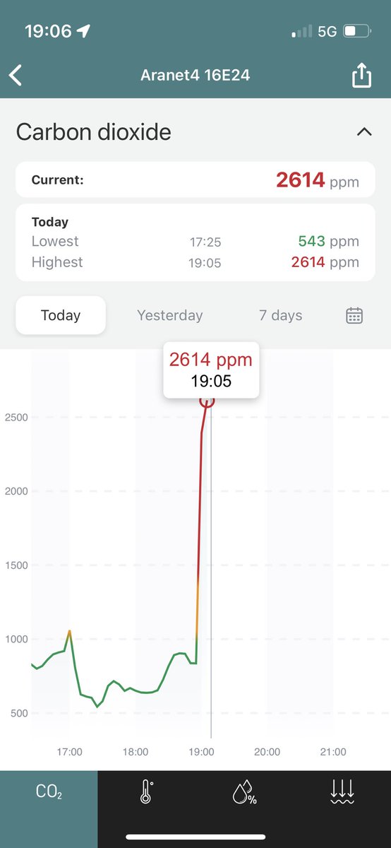 Phoebe Lam tweet media