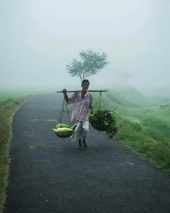 Winter Season In Bangladesh . Village time in Morning. 😊 Good Morning to you all.