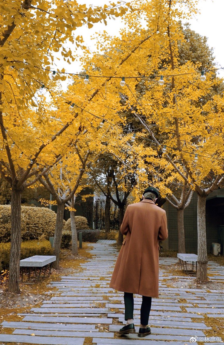 WinterDream0824's tweet photo. yanjun weibo update 🍂

#林彦俊 #린옌준 #LinYanjun https://t.co/6rYghuxI2v