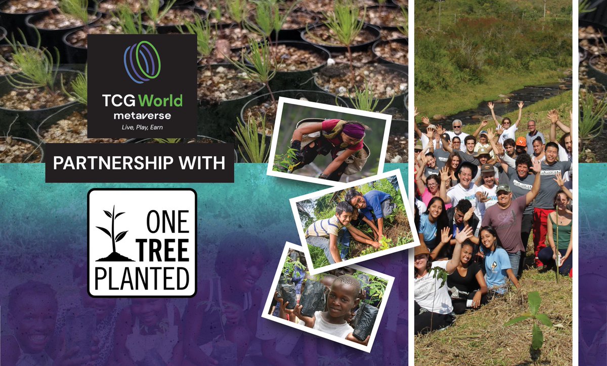 PlayTCGWorld's tweet photo. Welcome TCG World’s Newest Partner! 🚨

In Partnership with @onetreeplanted, We are Dedicating Our Efforts to Both the Virtual World as Well as the Real One! 🌎

• @onetreeplanted Will Help Offset Our Carbon Footprint By Planting Trees! 🌲

We Can’t Wait to See This Grow! 🙏🏽 https://t.co/jVuju0jOqp