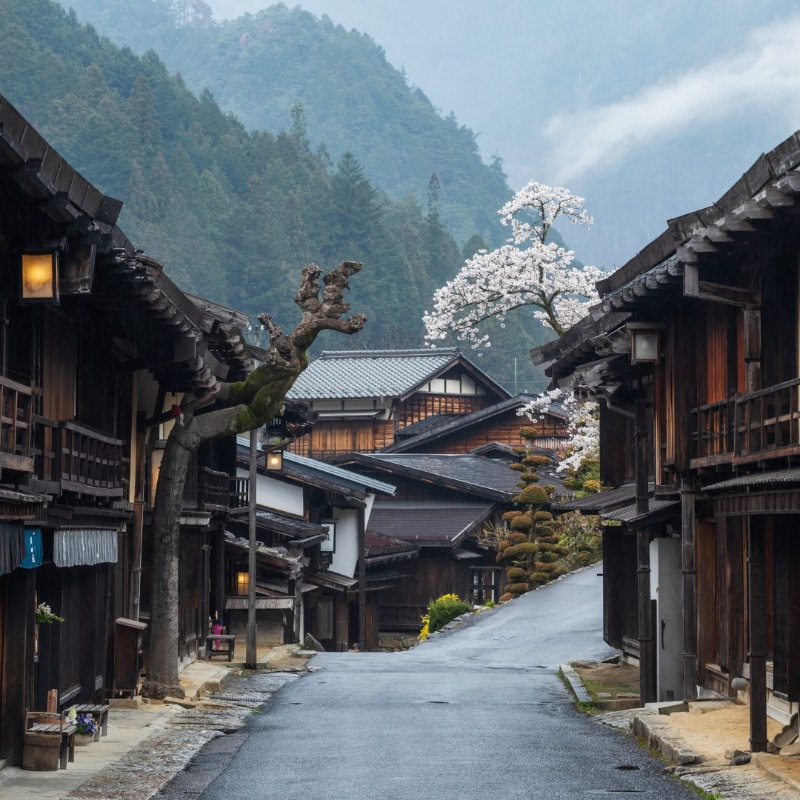 donnyjkimball's tweet image. If you love traveling to Japan and want to see some hidden gems and travel tips in your feed, be sure to smash that follow button.
 
Every day, I publish helpful articles and beautiful images to help you get off the beaten path and discover a different side of Japan.