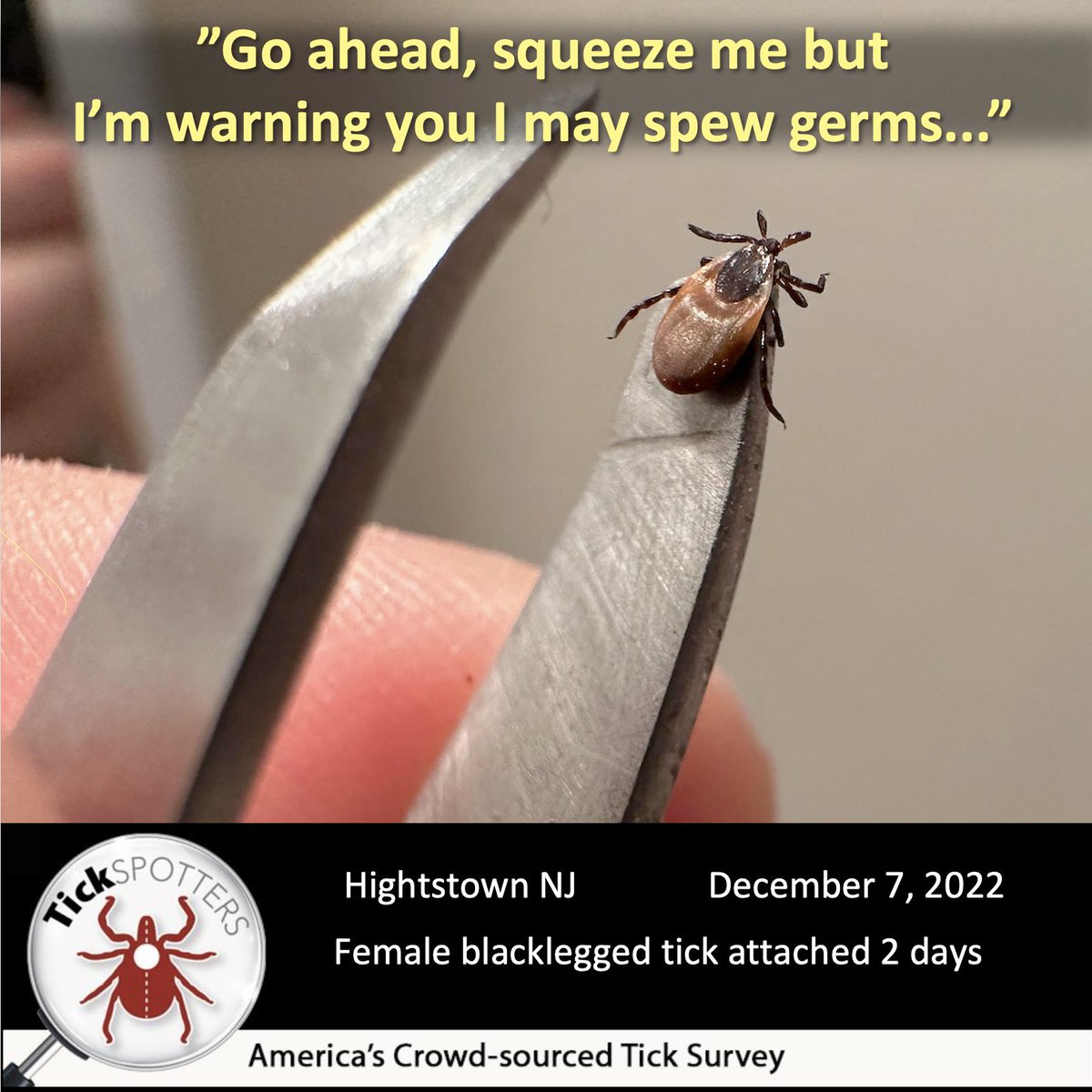 thetickguy's tweet photo. Help change this picture. #BeReadyForTicks by adding a high-quality pointy tweezer to your medicine cabinet, car glove box, backpack, etc, because you just never know when you’ll need to remove a tick...safely! https://t.co/9GxS48gj4v https://t.co/lpWBS9NgRz