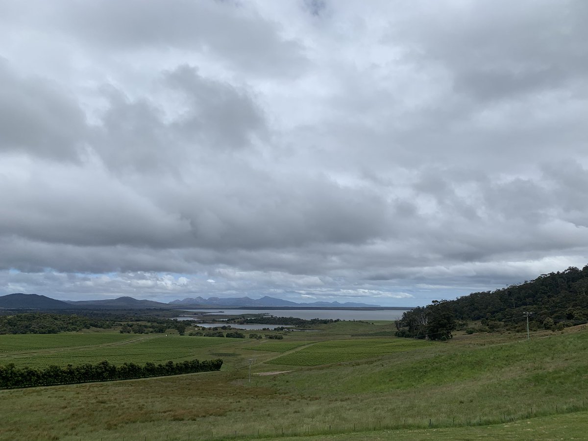 sinclair_josh's tweet image. How good is Frecyinet!