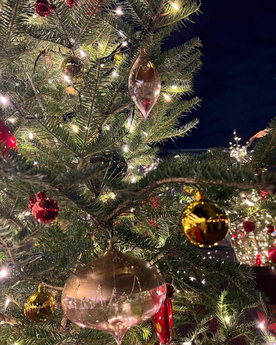 It's my favorite season again 🎄💫