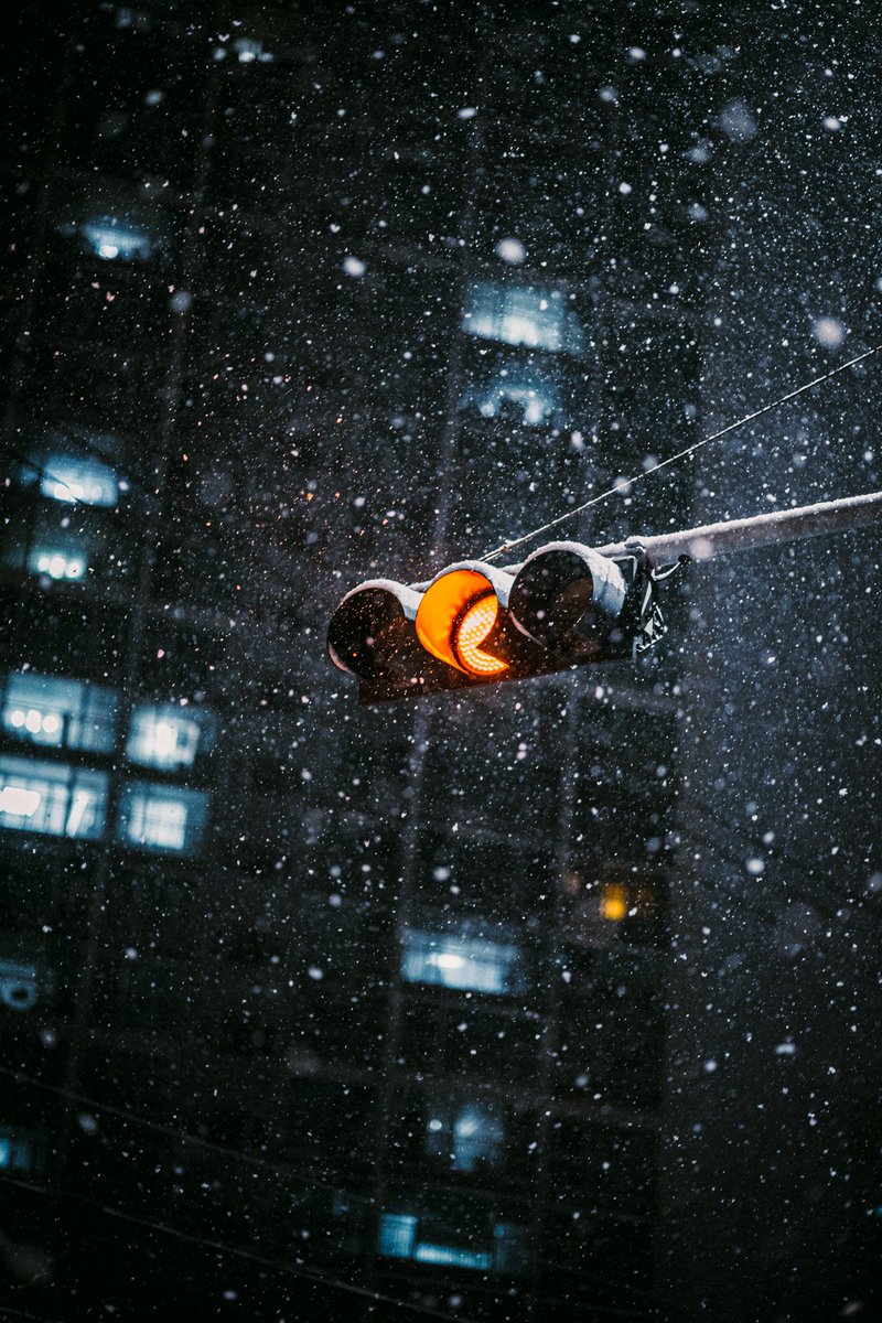 jongwoo_me's tweet photo. The photos I took in the heavy snow. 🌨️ https://t.co/WLJr5ZqHiY