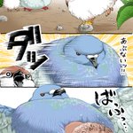 新しい遊び？!鳥さんたちのかわいくて迫力のある漫画!