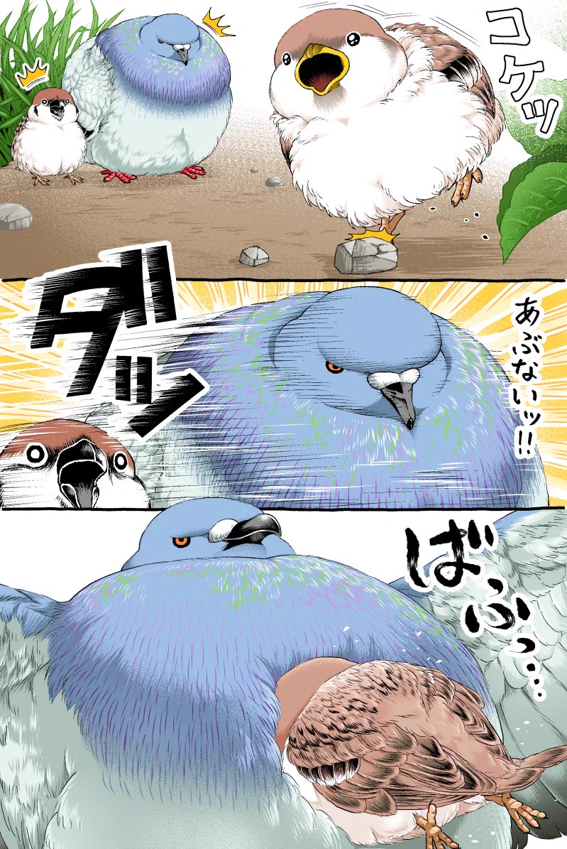 新しい遊び？！鳥さんたちのかわいくて迫力のある漫画！！