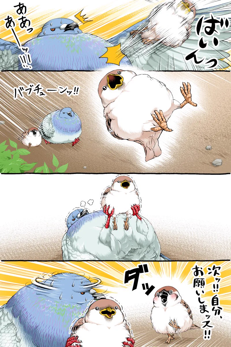 新しい遊び？！鳥さんたちのかわいくて迫力のある漫画！！
