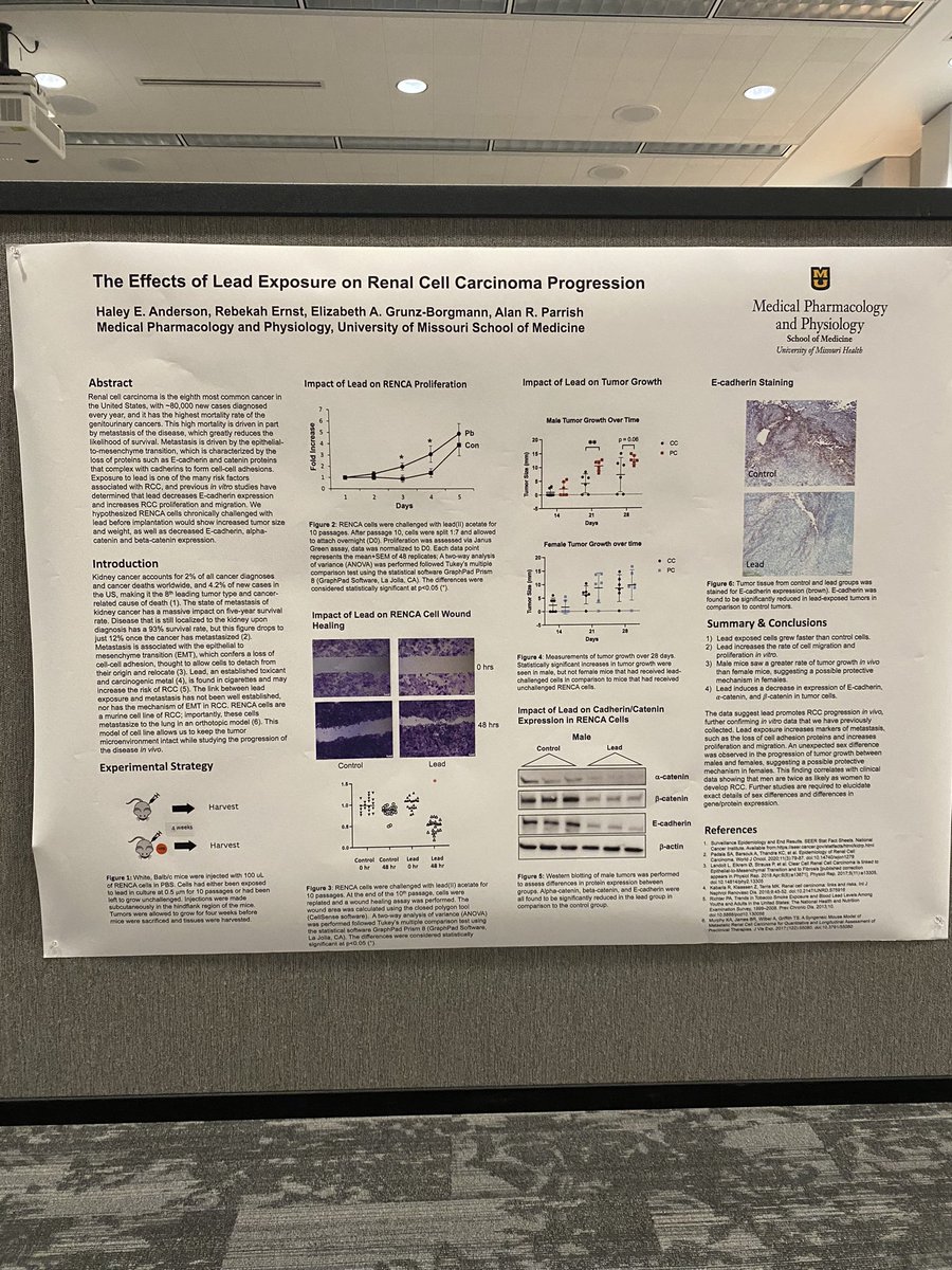 haleyyeileen's tweet photo. presented my own cancer research today @SitemanCenter ~16 years after my first ever science fair project. i think that’s pretty dope. https://t.co/obVkNnNvGk
