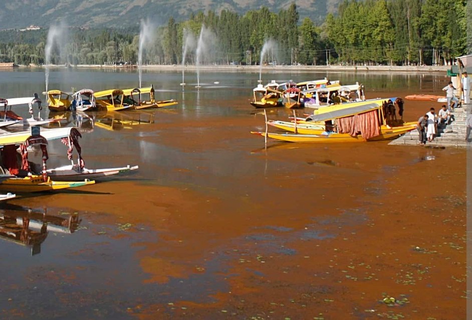 farooqganderbal's tweet photo. We at #VoiceForPeaceAndJustice #NGO call upon the people of Valley especially Youth to come forward & join hands with us to Save The otherwise dying #DalLake.
Dal Lake being one of the main tourist attractions & gods biggest gift plays important role in economy.
#SaveDalLake https://t.co/80MT3eaL3B
