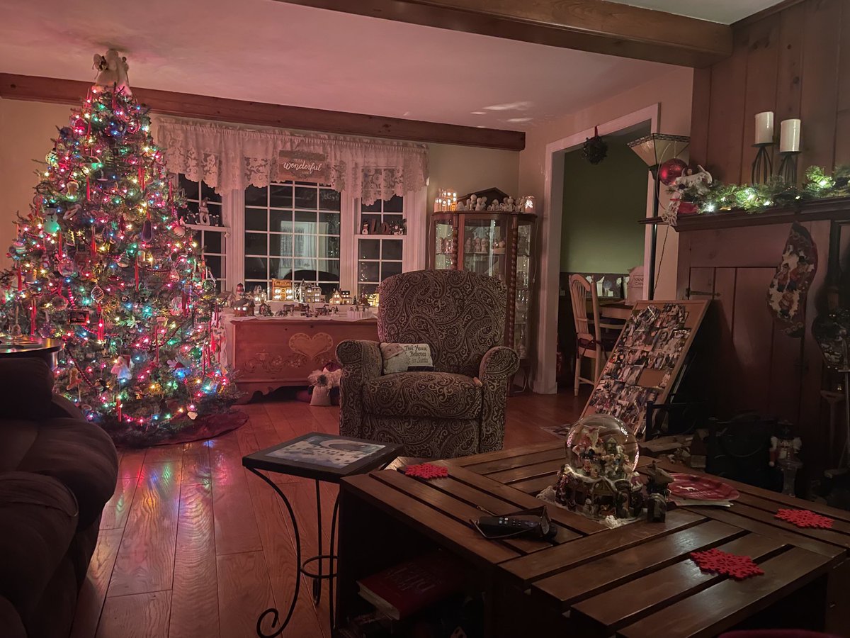 Getty ready for the holidays! My kitty thinks she belongs in the Christmas village,lol💕🥰  #cats #catsandchristmas