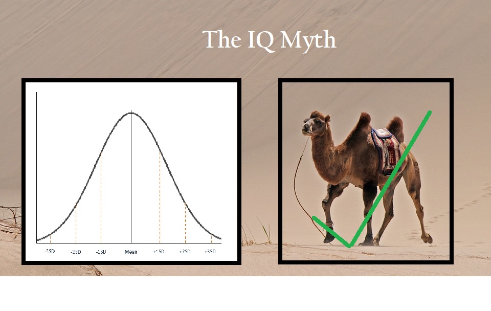 RnfinityUK's tweet photo. The IQ Myth
https://t.co/OlJakdDQoh
#IQ #IQtest #IQfail https://t.co/zg8KZsumtu