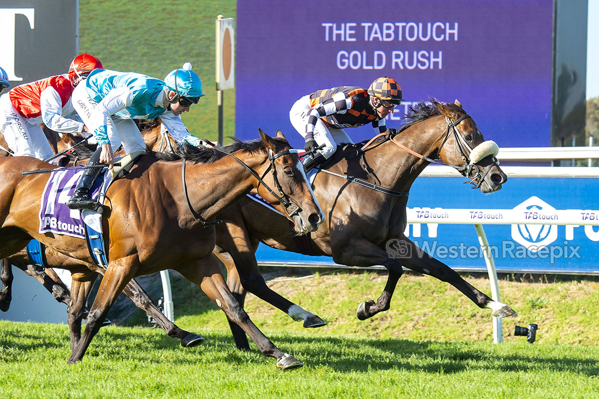 WesternRacepix's tweet photo. THE ASTROLOGIST - 2022 The @TAB_touch Gold Rush (Group 3) @PerthRacing #WesternRacepix #ThePinnacles #AscotRacingCarnival

More 📸 https://t.co/XhRFkk00xX https://t.co/VYnQmDM5Y8