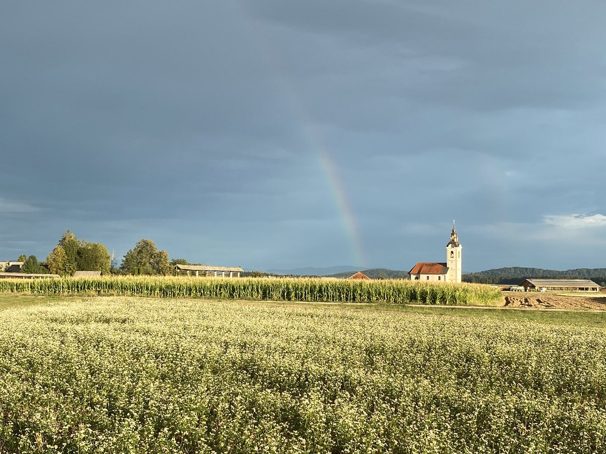 nmusar's tweet image. We all have equal human rights around the world. Never take your rights for granted, human rights need to be fought for constantly. As the Iranian women are fighting for their rights right now. In solidarity with them I call today for freedom of assembly and expression for all.