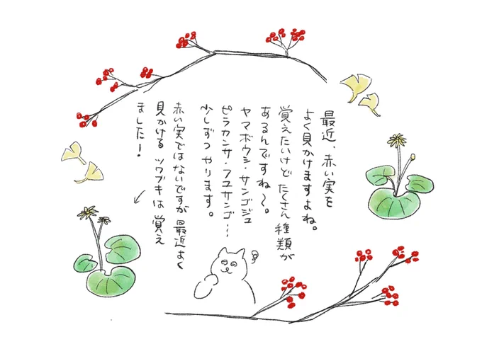 赤い実のなる木多いですね〜
#さくまの絵日記 