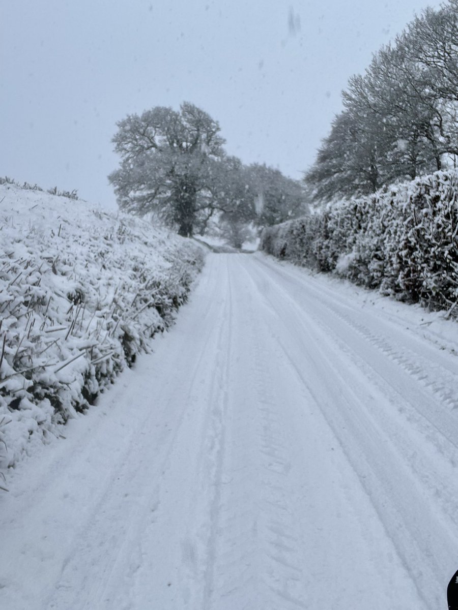 Dan Hart tweet media