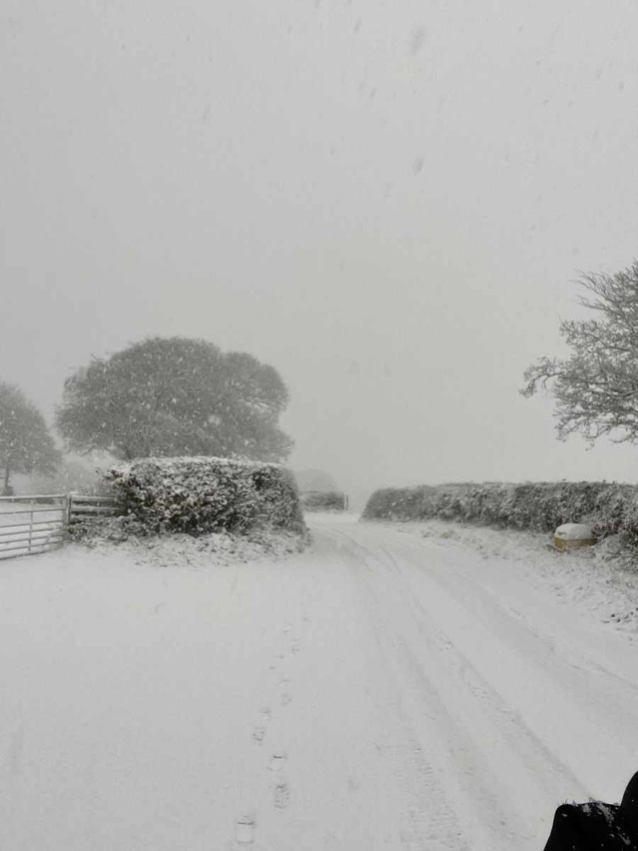 Dan Hart tweet media