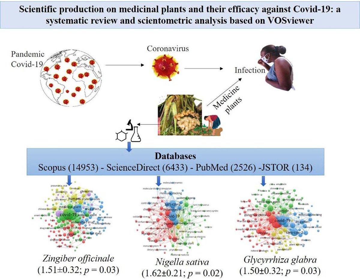 heniek_htw's tweet photo. Therapeutic potential against #COVID19 & mapped 10 most studied plants during pandemic.
N. sativa, Z. officinale, G. glabra, A. sativum, A. indica & W. somnifera were species that have received most attention in midst of pandemic
https://t.co/M8FaTsLmwn
@HealthyFellow @_atanas_ https://t.co/sCm3E0sKT6