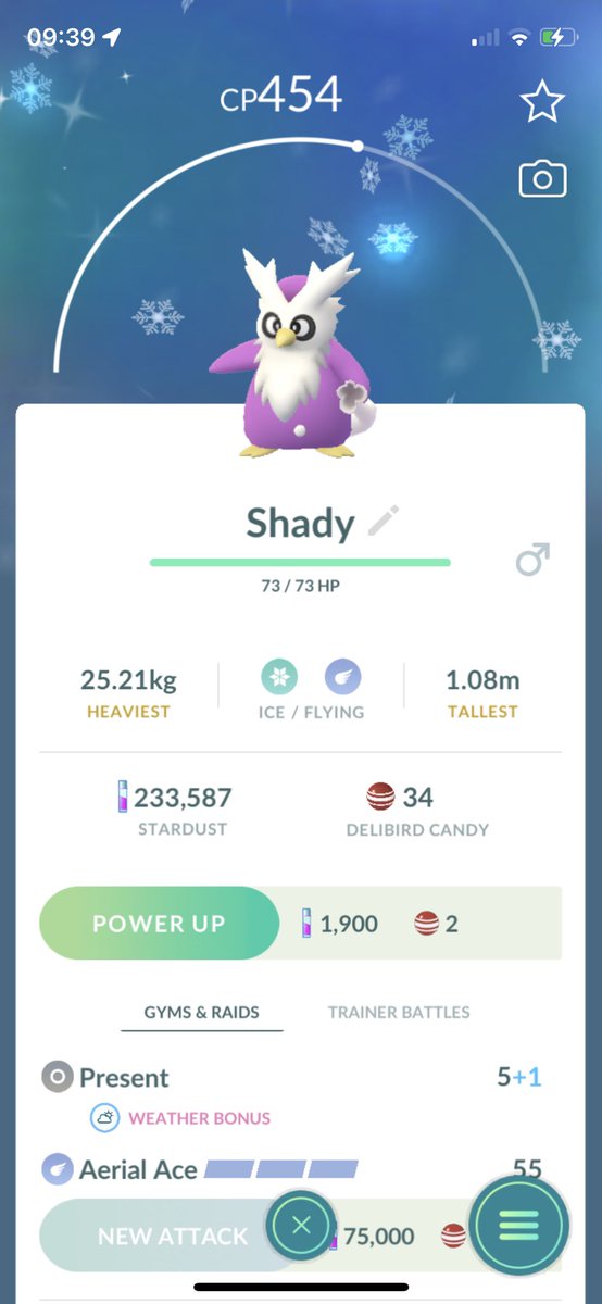 Retrob621's tweet photo. Only one nickname I’m giving this early Christmas present!! @Shadypenguinn #pokemongo #christmas https://t.co/XwyGOD4Pza