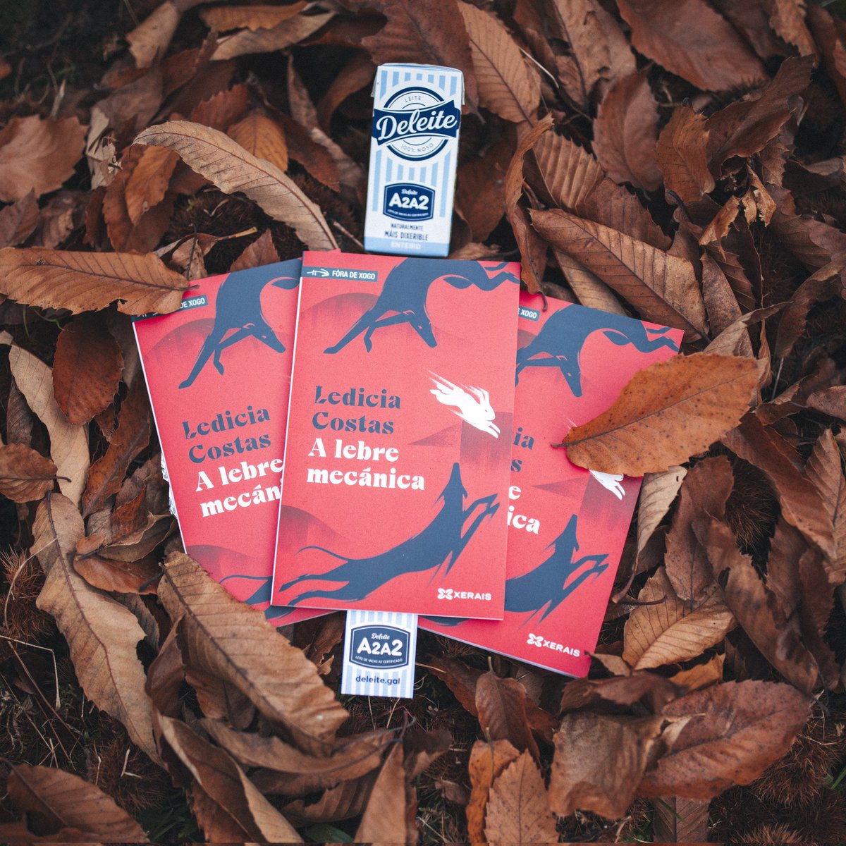 deleitegalego's tweet image. Como estades #XenteDeleite? 😇

Hoxe traemos unha nova #Deleitura! Sorteamos 6⃣ exemplares de 𝑨 𝒍𝒆𝒃𝒓𝒆 𝒎𝒆𝒄𝒂́𝒏𝒊𝒄𝒂, o último traballo da escritora @LediciaCostas 📚

Para participar só tes que facer RT e seguir a nosa conta 🤩👏