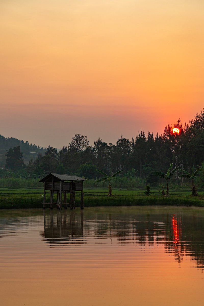 Anna Wilson tweet media