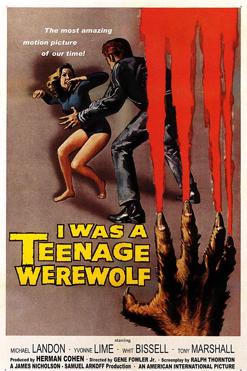 AngusKohm's tweet photo. #FridayNightAtTheHomeDriveIn

I Was a Teenage Werewolf (1957) by #GeneFowlerJr
w/#MichaelLandon #YvonneLime #WhitBissell

A hypnotherapist transforms a temperamental teenager into a #werewolf.

“The most amazing motion picture of our time!”

#Horror #SciFi
#NotQuiteClassicCinema https://t.co/yS1oxiP9bJ