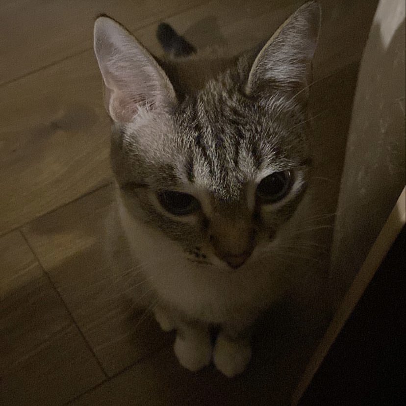 она держит в страхе всю нашу семью и весь запад.