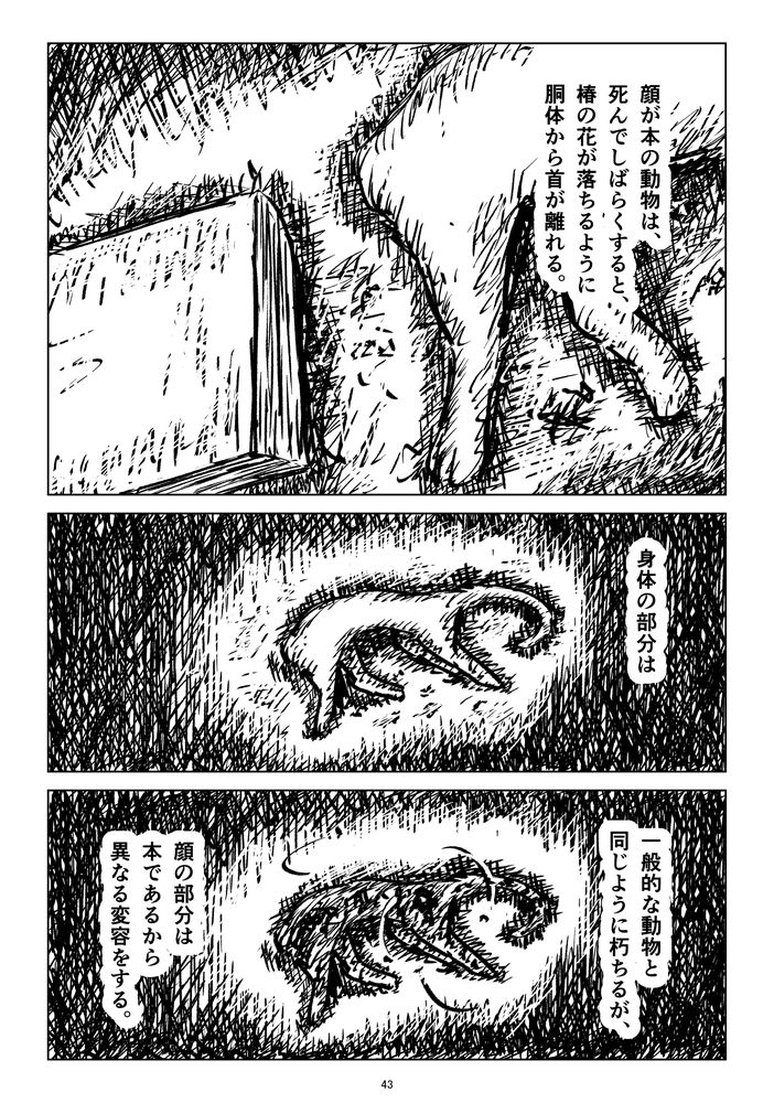 「薄荷刀と本」11 