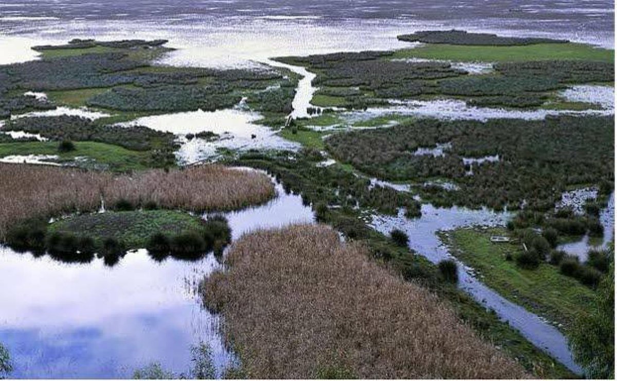 CurroFSibaja's tweet photo. En Andalucía hay tres Parques Nacionales: Doñana, Sierra Nevada y…

¿Sabes cuál es el tercero? 

Te voy a contar una historia de Málaga para que saques pecho de nuestra provincia. https://t.co/96l6XaKbkw